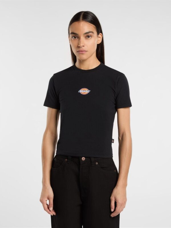 <p>
  T-shirt MAPLE VALLEY REG TEE W BLACK 
</p>Dickies