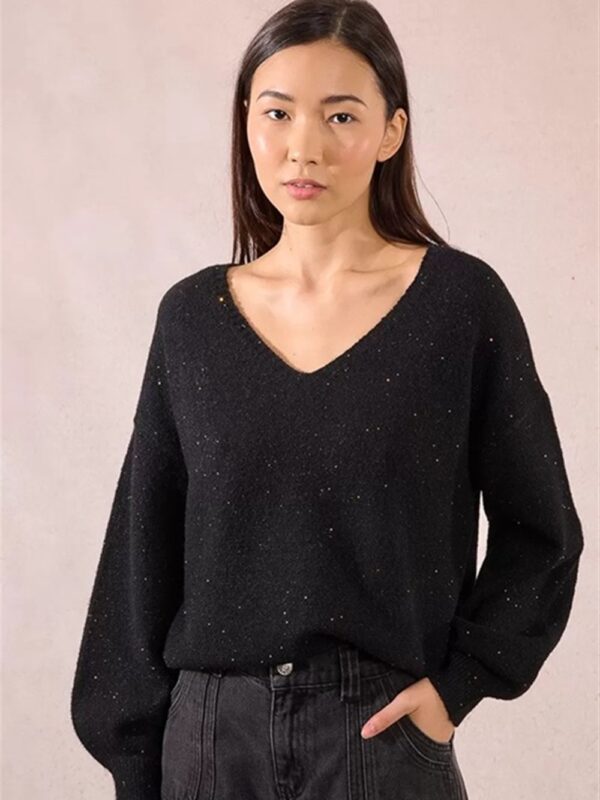 <p>
  Maglioncino con scollo a v e micro paillettes
</p>Molly Bracken