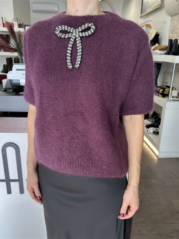 <p>
  Maglioncino mezza manica con spilla MELANZANA
</p>Dixie