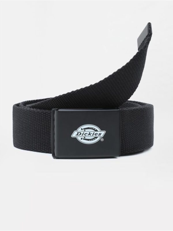 <p>
  Cintura ORCUTT BLACK 
</p>Dickies
