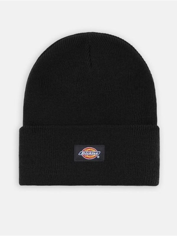 <p>
  Cappello GIBSLAND BEANIE BLACK 
</p>Dickies