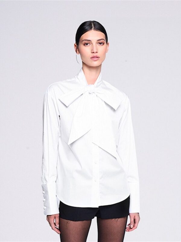 <p>
  Camicia con fiocco
</p>Silvian Heach