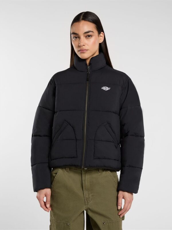 <p>
  Piumino SUMMERDALE PUFFER W BLACK
</p>Dickies