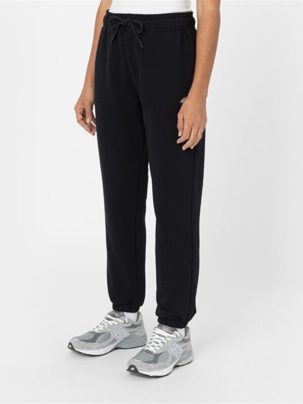 <p>
  Pantalone MAPLETON SWEATPANT BLACK
</p>Dickies