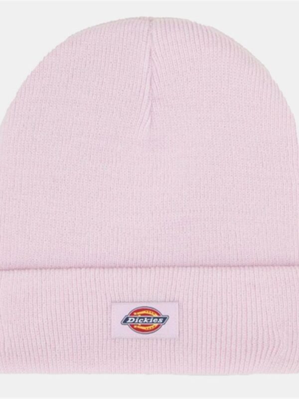 <p>
  Cappello GIBSLAND BEANIE ORCHID
</p>Dickies