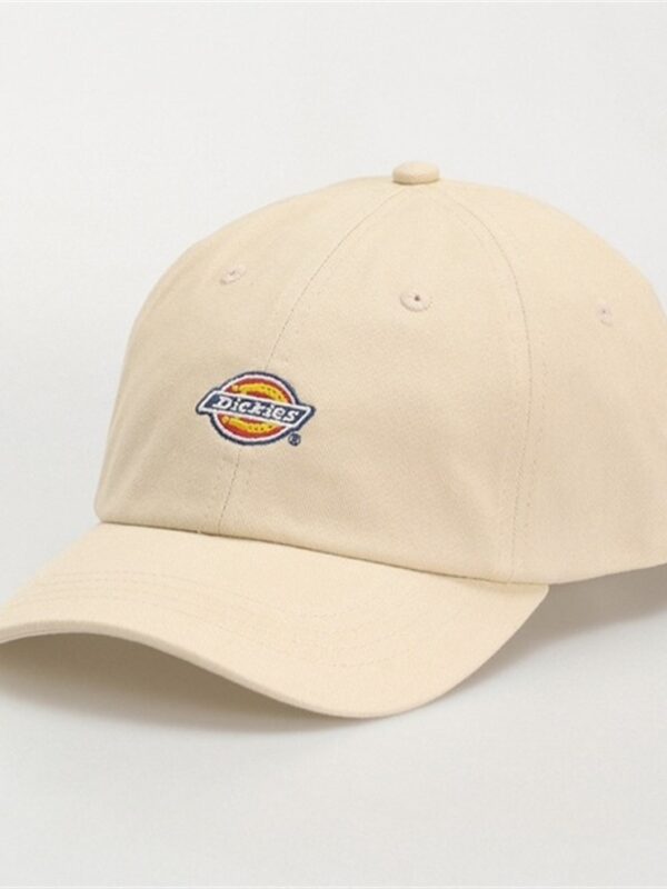 <p>
  Cappello con visiera HARDWICK WHITECAP GRAY 
</p>Dickies