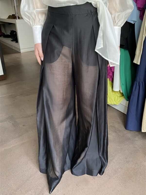 <p>
  Pantalone a palazzo in tessuto trasparente (Culotte in tinta inclusa)
</p>Tolérance Couture