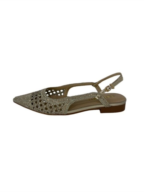 <p>
  Slingback traforata con strass
</p>Chiconic