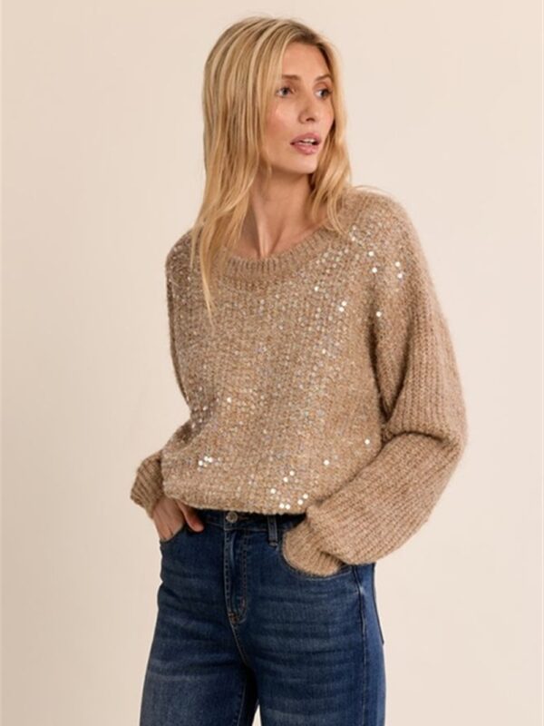 <p>
Maglione lavorato a maglia con paillettes
</p>Molly Bracken